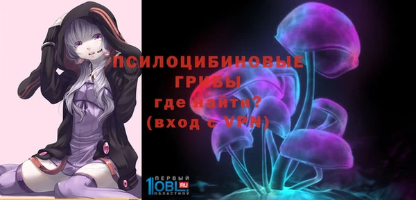 ГАЛЛЮЦИНОГЕННЫЕ ГРИБЫ Абаза