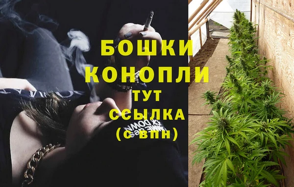ГАЛЛЮЦИНОГЕННЫЕ ГРИБЫ Абаза