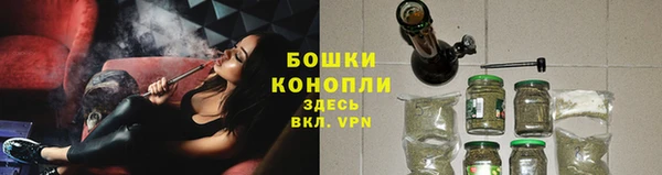 ГАЛЛЮЦИНОГЕННЫЕ ГРИБЫ Абаза