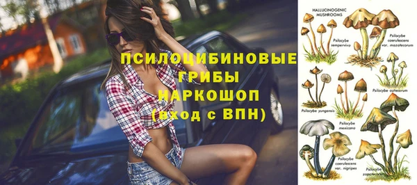 трава Абдулино