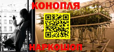 spice Кунгур