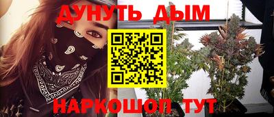 spice Кунгур