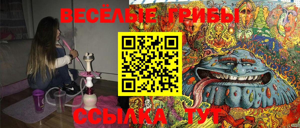 Псилоцибиновые грибы ЛСД Гагарин